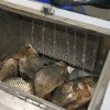 Fish Scaler Machine Automatic Fish Scale Removal Machine