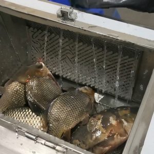 Fish Scaler Machine Automatic Fish Scale Removal Machine