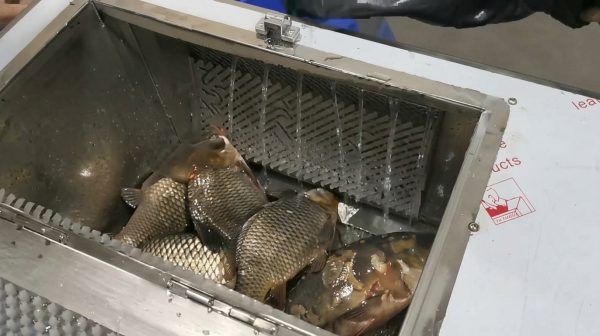 Fish Scaler Machine Automatic Fish Scale Removal Machine