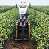 Agricultural Mini Power Tiller & Inter-Row Weeder Machine