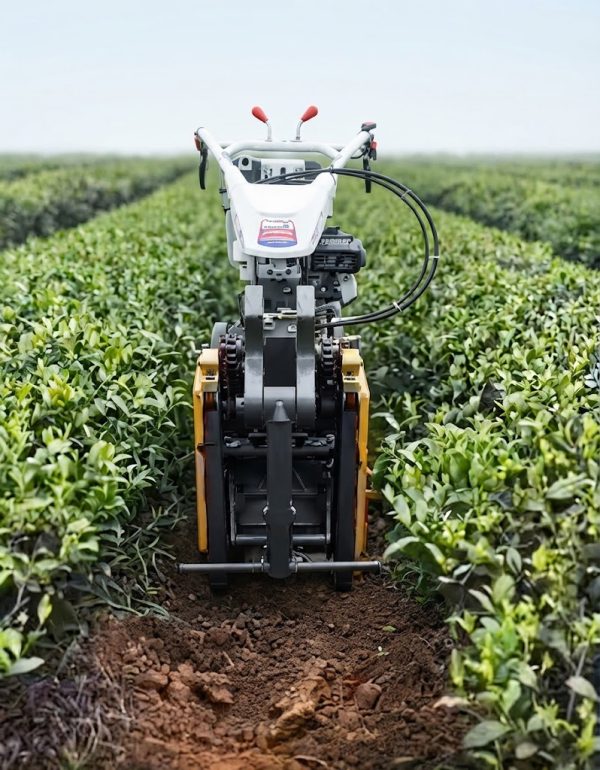 Agricultural Mini Power Tiller & Inter-Row Weeder Machine