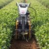 Agricultural Mini Power Tiller & Inter-Row Weeder Machine
