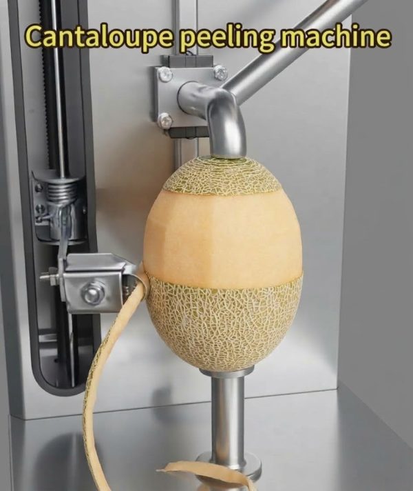 Automatic Commercial Cantaloupe & Pineapple Peeling Machine
