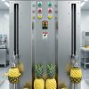 Automatic Multi-Station Commercial Fruit & Vegetable Peeling Machine