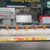 Commercial Brush Roller Vegetable Washing & Peeling Machine
