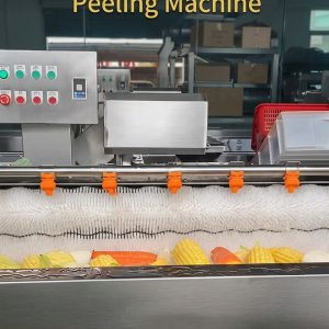 Commercial Brush Roller Vegetable Washing & Peeling Machine