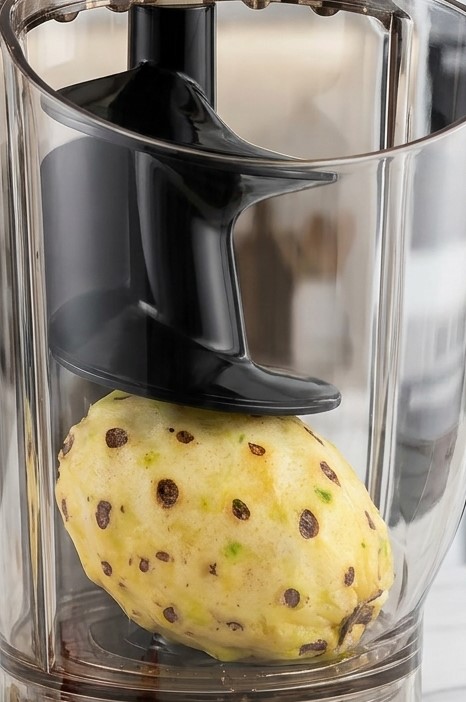 Commercial Cold Press Juicer Machine