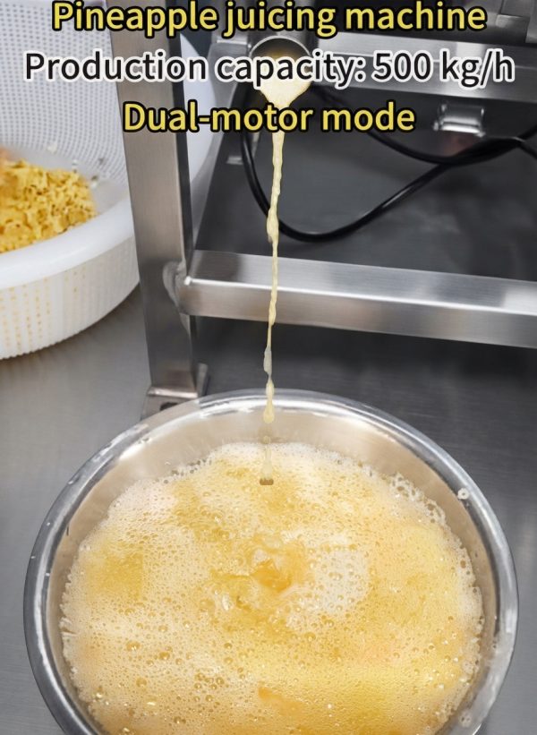 Commercial Pineapple Juicing Machine
