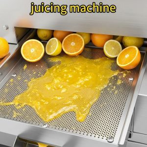 Commercial Roller Orange & Lemon Juicing Machine