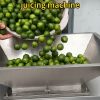 Commercial Roller Orange & Lemon Juicing Machine