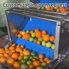 Customizable Commercial Fruit Washing Machine