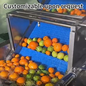 Customizable Commercial Fruit Washing Machine