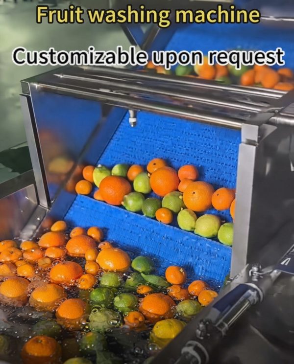 Customizable Commercial Fruit Washing Machine