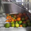 Customizable Commercial Fruit Washing Machine