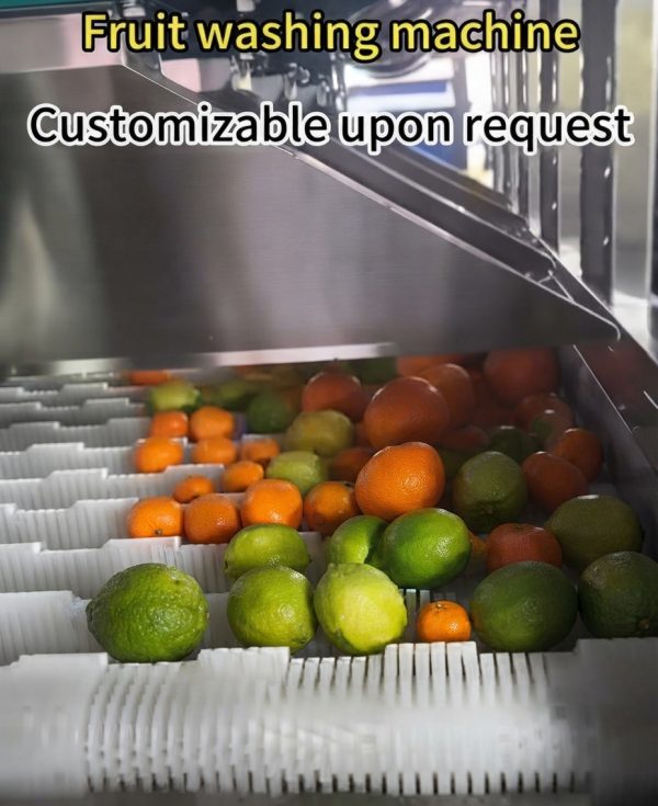 Customizable Commercial Fruit Washing Machine