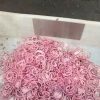 High-Capacity Commercial Vegetable Slicing & Shredding Machine (2,000 kg/h)