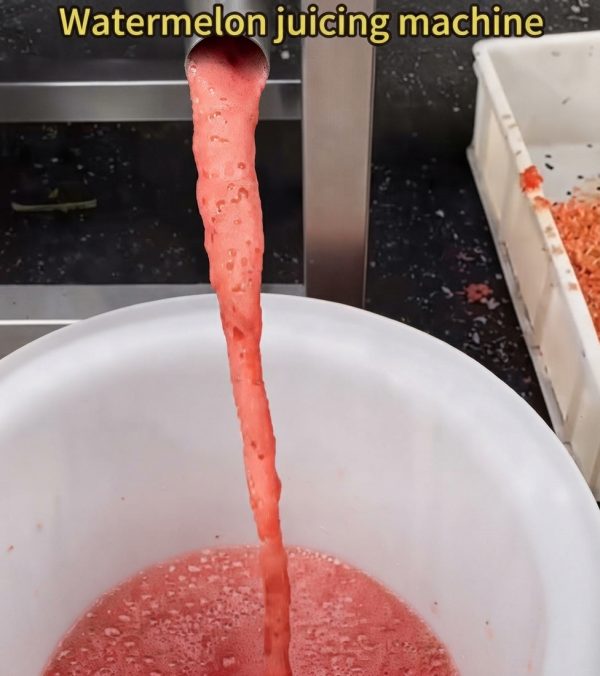 High-Capacity Commercial Watermelon Juicing Machine