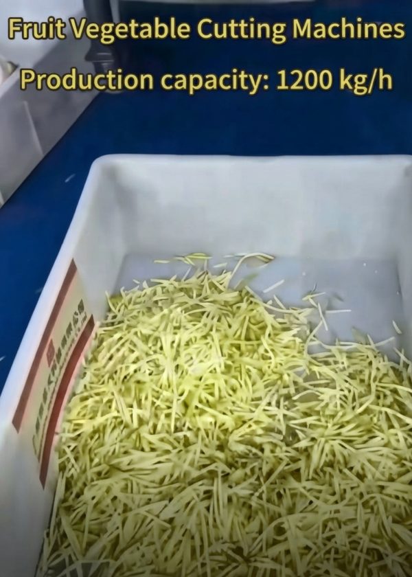 High Capacity Industrial Fruit & Vegetable Cutting Machine