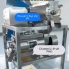 Industrial Mango Washing & Pulping Production Machine