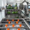Industrial Mango Washing & Pulping Production Machine