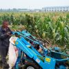 Scale Corn Harvester & Stalk Chopper Machine